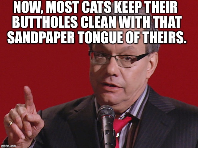 My cats got poop stuck to its butt. | NOW, MOST CATS KEEP THEIR BUTTHOLES CLEAN WITH THAT SANDPAPER TONGUE OF THEIRS. | image tagged in crock of meme,cats,funny,lewis black,meme | made w/ Imgflip meme maker