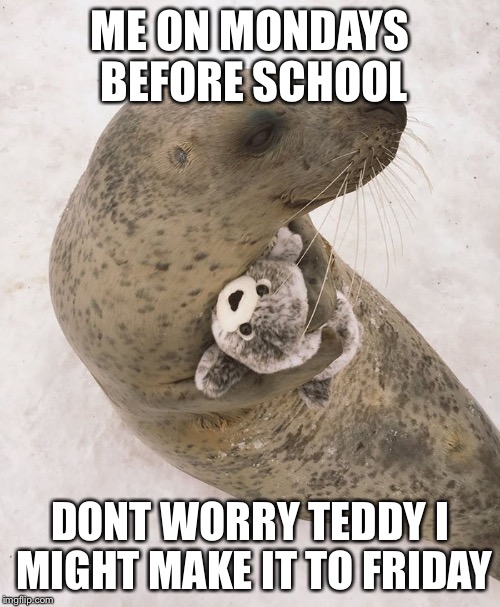 ME ON MONDAYS BEFORE SCHOOL; DONT WORRY TEDDY I MIGHT MAKE IT TO FRIDAY | image tagged in mondays | made w/ Imgflip meme maker
