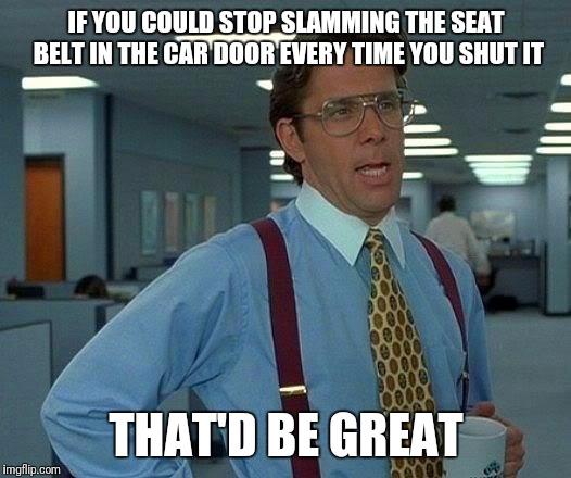 That Would Be Great Meme | IF YOU COULD STOP SLAMMING THE SEAT BELT IN THE CAR DOOR EVERY TIME YOU SHUT IT; THAT'D BE GREAT | image tagged in memes,that would be great | made w/ Imgflip meme maker
