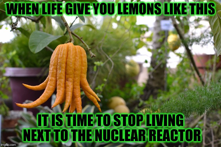 Nature is giving you signs everywhere only if you're ready to listen.  ≧◉◡◉≦ |  WHEN LIFE GIVE YOU LEMONS LIKE THIS; IT IS TIME TO STOP LIVING NEXT TO THE NUCLEAR REACTOR | image tagged in memes,funny,lemons,life,nuclear power,mutant | made w/ Imgflip meme maker