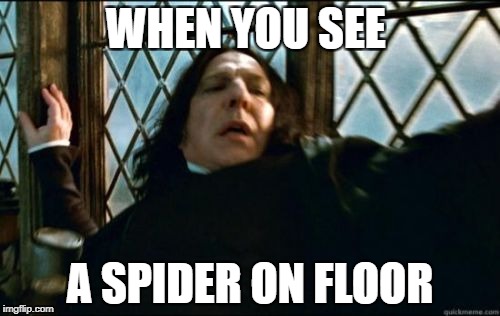 Snape | WHEN YOU SEE; A SPIDER ON FLOOR | image tagged in memes,snape | made w/ Imgflip meme maker