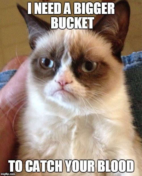 Grumpy Cat Meme | I NEED A BIGGER BUCKET TO CATCH YOUR BLOOD | image tagged in memes,grumpy cat | made w/ Imgflip meme maker