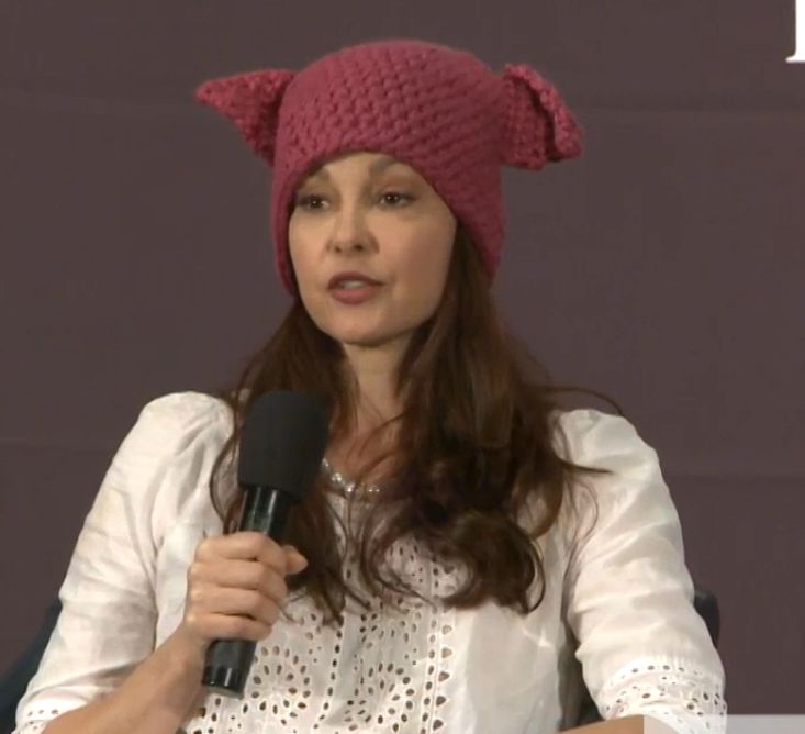Ashley Pussy Hat Blank Meme Template