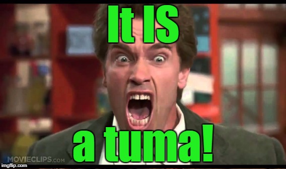 It IS a tuma! | made w/ Imgflip meme maker