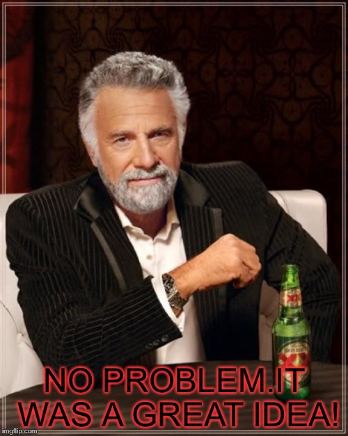 The Most Interesting Man In The World Meme | NO PROBLEM.IT WAS A GREAT IDEA! | image tagged in memes,the most interesting man in the world | made w/ Imgflip meme maker
