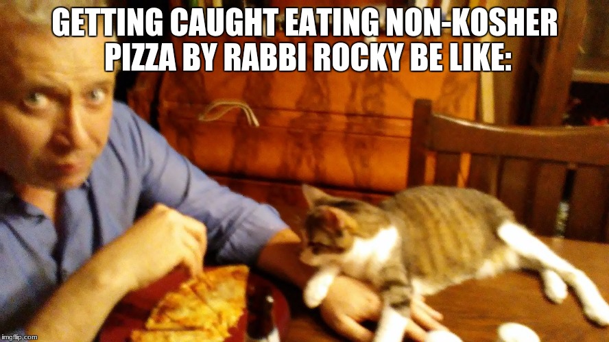 Rabbi Cats is not Happy | GETTING CAUGHT EATING NON-KOSHER PIZZA BY RABBI ROCKY BE LIKE: | image tagged in pizza cat,rabbi cat,rocky,non-kosher,kosher,funny | made w/ Imgflip meme maker