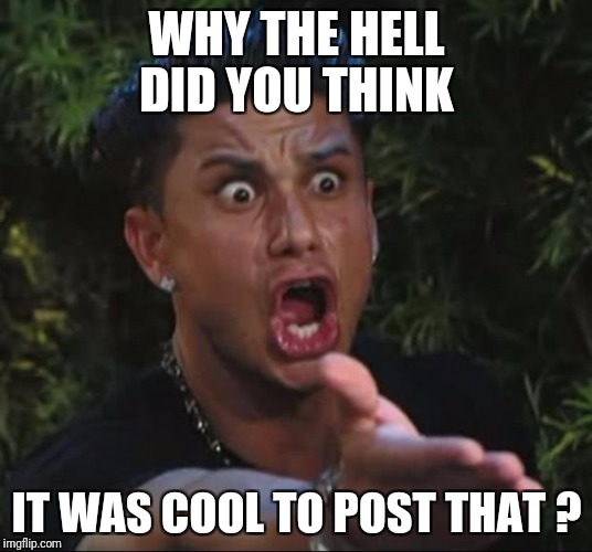 DJ Pauly D Meme | WHY THE HELL DID YOU THINK; IT WAS COOL TO POST THAT ? | image tagged in memes,dj pauly d | made w/ Imgflip meme maker
