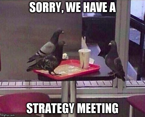 Pigeon job interview | SORRY, WE HAVE A; STRATEGY MEETING | image tagged in pigeon job interview | made w/ Imgflip meme maker