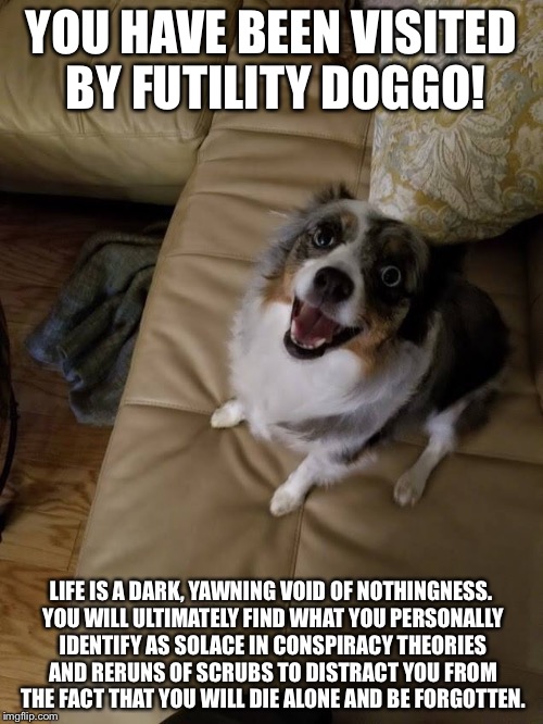 Futility doggo | YOU HAVE BEEN VISITED BY FUTILITY DOGGO! LIFE IS A DARK, YAWNING VOID OF NOTHINGNESS. YOU WILL ULTIMATELY FIND WHAT YOU PERSONALLY IDENTIFY AS SOLACE IN CONSPIRACY THEORIES AND RERUNS OF SCRUBS TO DISTRACT YOU FROM THE FACT THAT YOU WILL DIE ALONE AND BE FORGOTTEN. | image tagged in nihilism,doggo,funny memes | made w/ Imgflip meme maker