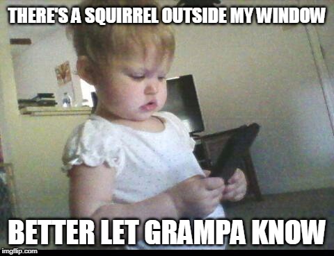 My granddaughter. Love that little girl! | THERE'S A SQUIRREL OUTSIDE MY WINDOW; BETTER LET GRAMPA KNOW | image tagged in baby,granddad,squirrel | made w/ Imgflip meme maker