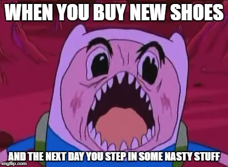 Finn The Human | WHEN YOU BUY NEW SHOES; AND THE NEXT DAY YOU STEP IN SOME NASTY STUFF | image tagged in memes,finn the human | made w/ Imgflip meme maker