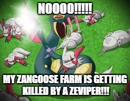 pokemon | NOOOO!!!!! MY ZANGOOSE FARM IS GETTING KILLED BY A ZEVIPER!!! | image tagged in memes,lol,doge,funny,pokemon | made w/ Imgflip meme maker