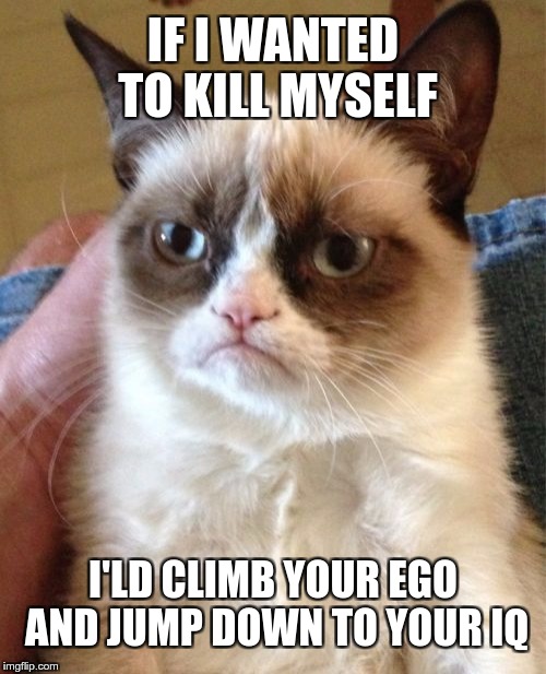 Grumpy Cat Meme | IF I WANTED TO KILL MYSELF; I'LD CLIMB YOUR EGO AND JUMP DOWN TO YOUR IQ | image tagged in memes,grumpy cat | made w/ Imgflip meme maker