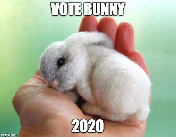 VOTE BUNNY; 2020 | image tagged in vote bunny 2020 | made w/ Imgflip meme maker