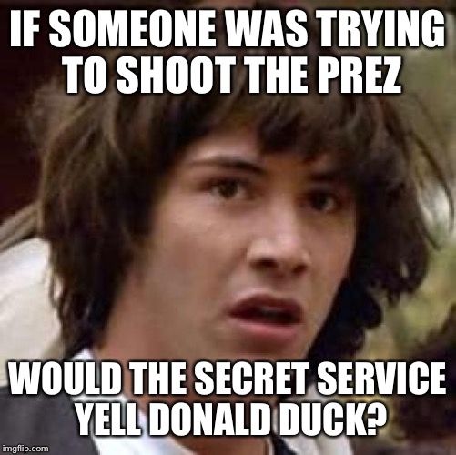 Hmmm | IF SOMEONE WAS TRYING TO SHOOT THE PREZ; WOULD THE SECRET SERVICE YELL DONALD DUCK? | image tagged in memes,conspiracy keanu,potus,trump memes,business for toodles | made w/ Imgflip meme maker