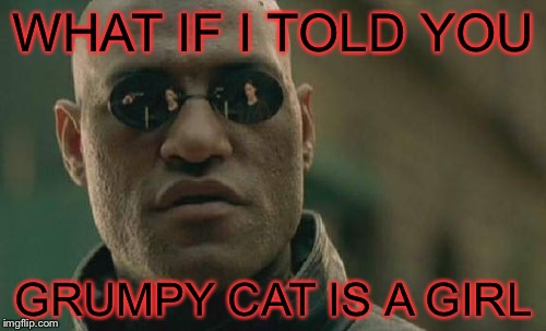 Matrix Morpheus Meme | WHAT IF I TOLD YOU GRUMPY CAT IS A GIRL | image tagged in memes,matrix morpheus | made w/ Imgflip meme maker