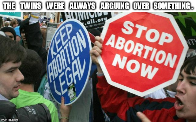Twins Arguing over Abortion | THE    TWINS    WERE    ALWAYS    ARGUING   OVER   SOMETHING . | image tagged in abortion | made w/ Imgflip meme maker