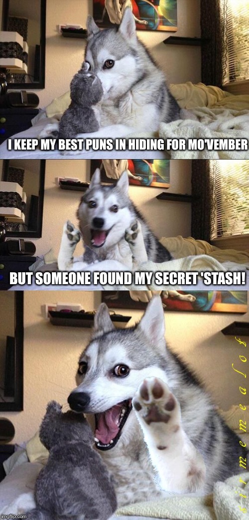 Bad Pun Dog | I KEEP MY BEST PUNS IN HIDING FOR MO'VEMBER; BUT SOMEONE FOUND MY SECRET 'STASH! | image tagged in bad pun dog aliens zinger,memes,movember,bad pun dog,ancient aliens | made w/ Imgflip meme maker