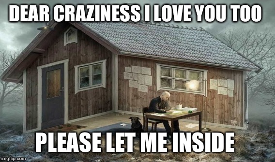 DEAR CRAZINESS I LOVE YOU TOO PLEASE LET ME INSIDE | made w/ Imgflip meme maker