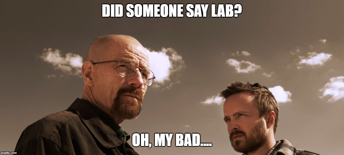 DID SOMEONE SAY LAB? OH, MY BAD.... | made w/ Imgflip meme maker
