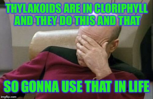 Captain Picard Facepalm Meme | THYLAKOIDS ARE IN CLORIPHYLL AND THEY DO THIS AND THAT SO GONNA USE THAT IN LIFE | image tagged in memes,captain picard facepalm | made w/ Imgflip meme maker