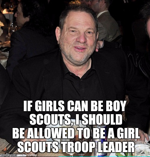 Just sayin'... | IF GIRLS CAN BE BOY SCOUTS, I SHOULD BE ALLOWED TO BE A GIRL SCOUTS TROOP LEADER | image tagged in harvey weinstein,memes,boy scouts,girl scouts | made w/ Imgflip meme maker