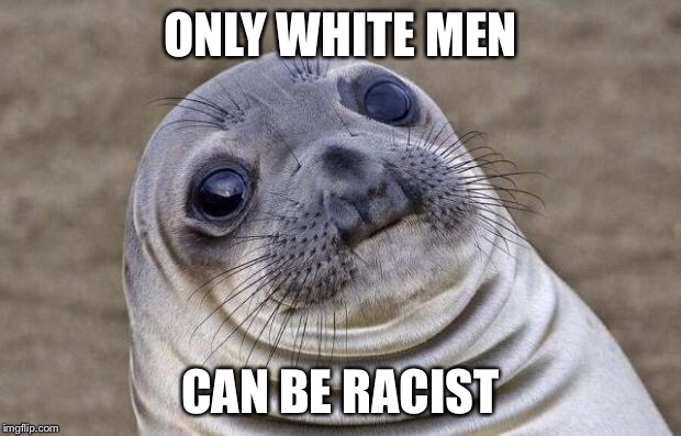 Awkward Moment Sealion Meme | ONLY WHITE MEN CAN BE RACIST | image tagged in memes,awkward moment sealion | made w/ Imgflip meme maker