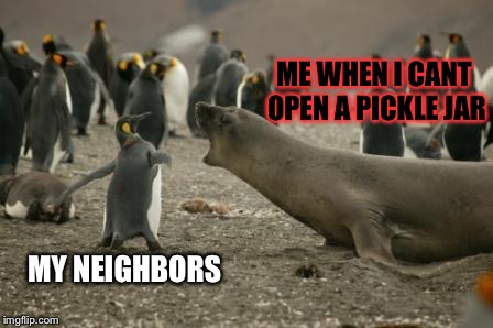 ME WHEN I CANT OPEN A PICKLE JAR; MY NEIGHBORS | image tagged in pickle jars | made w/ Imgflip meme maker