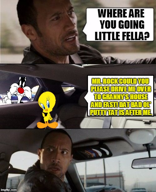 The Rock Driving Blank 2 | WHERE ARE YOU GOING LITTLE FELLA? MR. ROCK COULD YOU PLEASE DRIVE ME OVER TO GRANNY'S HOUSE AND FAST! DAT BAD OL' PUTTY TAT IS AFTER ME. | image tagged in the rock driving blank 2,tweety bird,sylvester the cat,funny | made w/ Imgflip meme maker