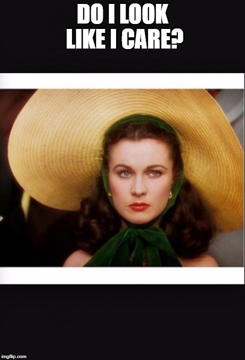 Gone with the wind | DO I LOOK LIKE I CARE? | image tagged in gone with the wind | made w/ Imgflip meme maker