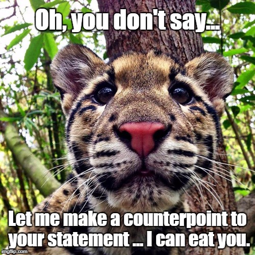 I can eat you | Oh, you don't say... Let me make a counterpoint to your statement ... I can eat you. | image tagged in tigers,funny animals | made w/ Imgflip meme maker