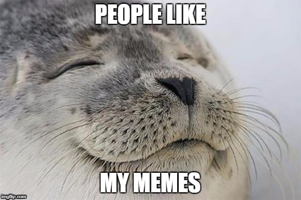 Satisfied Seal Meme | PEOPLE LIKE; MY MEMES | image tagged in memes,satisfied seal | made w/ Imgflip meme maker
