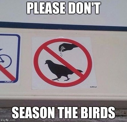 Don't eat wildlife! | PLEASE DON'T; SEASON THE BIRDS | image tagged in season the bird,pigeon,bird,birds,food,eat | made w/ Imgflip meme maker