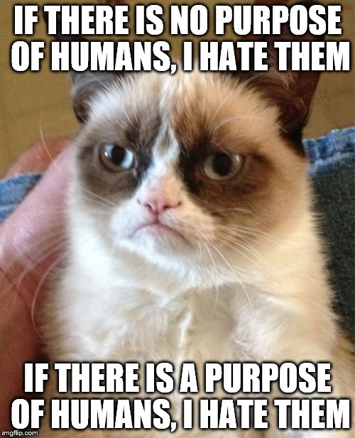 Grumpy Cat Meme | IF THERE IS NO PURPOSE OF HUMANS, I HATE THEM; IF THERE IS A PURPOSE OF HUMANS, I HATE THEM | image tagged in memes,grumpy cat | made w/ Imgflip meme maker