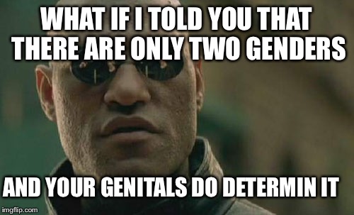 Matrix Morpheus Meme | WHAT IF I TOLD YOU THAT THERE ARE ONLY TWO GENDERS; AND YOUR GENITALS DO DETERMIN IT | image tagged in memes,matrix morpheus | made w/ Imgflip meme maker