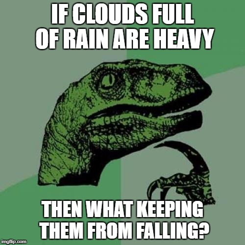 Philosoraptor Meme | IF CLOUDS FULL OF RAIN ARE HEAVY; THEN WHAT KEEPING THEM FROM FALLING? | image tagged in memes,philosoraptor | made w/ Imgflip meme maker
