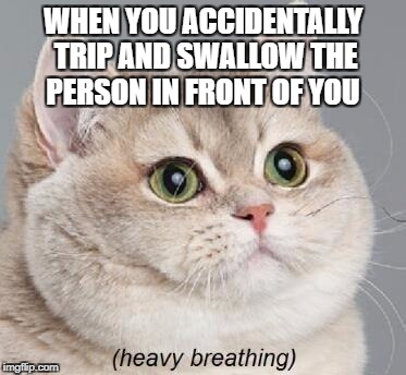 Heavy Breathing Cat | WHEN YOU ACCIDENTALLY TRIP AND SWALLOW THE PERSON IN FRONT OF YOU | image tagged in memes,heavy breathing cat | made w/ Imgflip meme maker