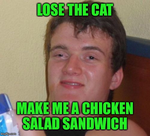 10 Guy Meme | LOSE THE CAT MAKE ME A CHICKEN SALAD SANDWICH | image tagged in memes,10 guy | made w/ Imgflip meme maker
