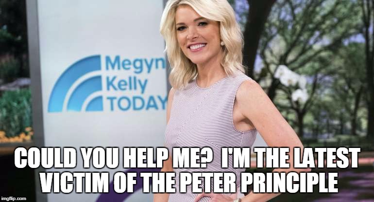 COULD YOU HELP ME?  I'M THE
LATEST VICTIM OF THE PETER PRINCIPLE | image tagged in megyn kelly | made w/ Imgflip meme maker