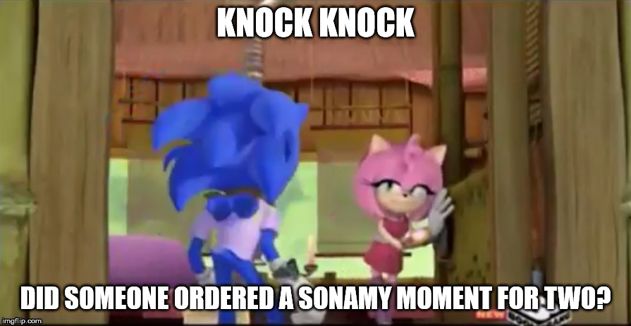 Sexy Sonamy | KNOCK KNOCK; DID SOMEONE ORDERED A SONAMY MOMENT FOR TWO? | image tagged in sonamy | made w/ Imgflip meme maker
