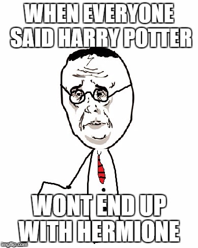 Harry Potter Ok | WHEN EVERYONE SAID HARRY POTTER; WONT END UP WITH HERMIONE | image tagged in memes,harry potter ok | made w/ Imgflip meme maker