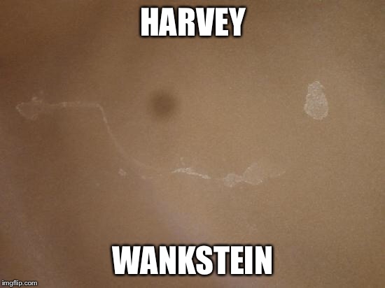 Harvey Wankstein  |  HARVEY; WANKSTEIN | image tagged in wank,stain,harvey weinstein,weinstein,wankstein,pervert | made w/ Imgflip meme maker