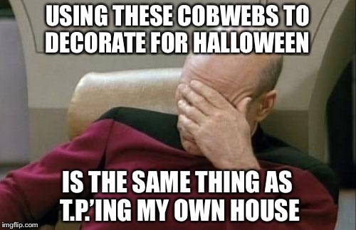 Captain Picard Facepalm Meme | USING THESE COBWEBS TO DECORATE FOR HALLOWEEN; IS THE SAME THING AS T.P.’ING MY OWN HOUSE | image tagged in memes,captain picard facepalm | made w/ Imgflip meme maker