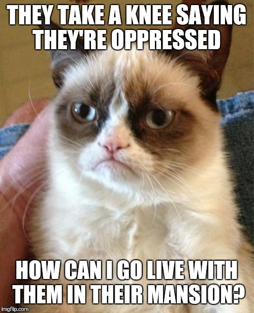 Grumpy Cat Meme | THEY TAKE A KNEE SAYING THEY'RE OPPRESSED; HOW CAN I GO LIVE WITH THEM IN THEIR MANSION? | image tagged in memes,grumpy cat | made w/ Imgflip meme maker