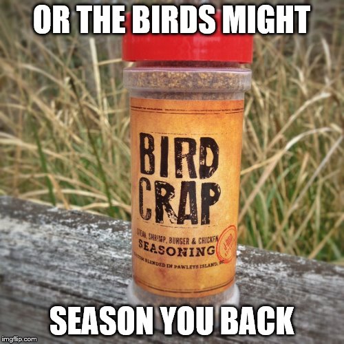 OR THE BIRDS MIGHT SEASON YOU BACK | made w/ Imgflip meme maker