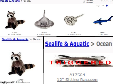 My faverut sea crature is the megestic racun | image tagged in ocean | made w/ Imgflip meme maker