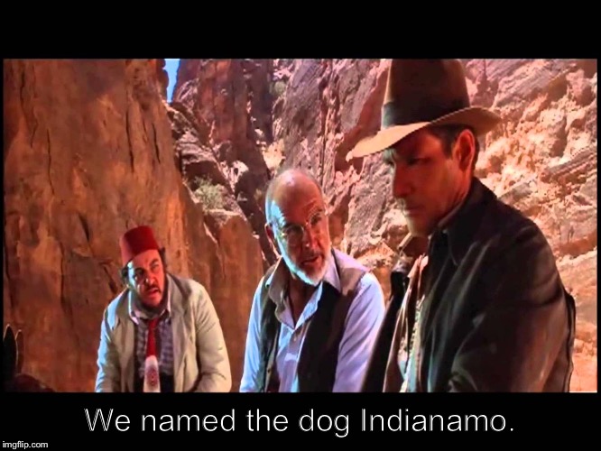 Indiana Jones - We Named The Dog | We named the dog Indianamo. | image tagged in indiana jones - we named the dog | made w/ Imgflip meme maker