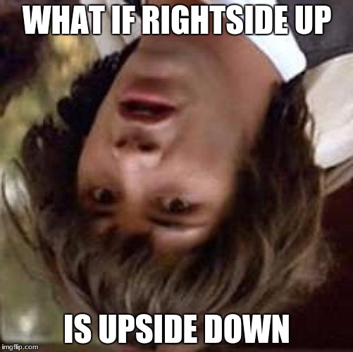 upside down week october the 10-17th | WHAT IF RIGHTSIDE UP; IS UPSIDE DOWN | image tagged in memes,conspiracy keanu,upside down,upside down week,funny,gifs | made w/ Imgflip meme maker