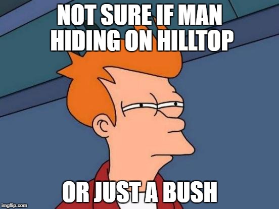 PUBG | NOT SURE IF MAN HIDING ON HILLTOP; OR JUST A BUSH | image tagged in memes,futurama fry,pubg,pc gaming,steam | made w/ Imgflip meme maker