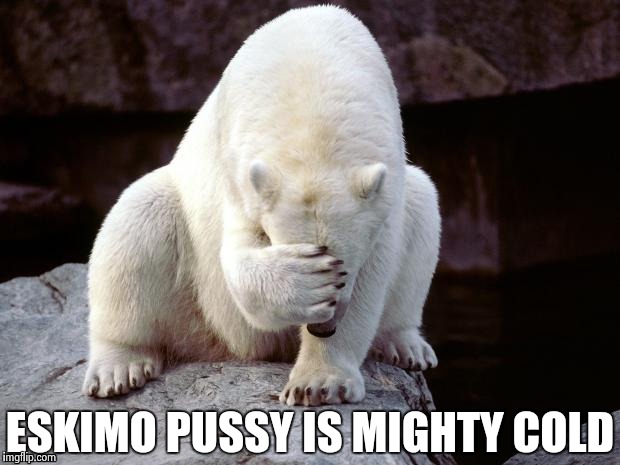 Polar Bear | ESKIMO PUSSY IS MIGHTY COLD | image tagged in polar bear | made w/ Imgflip meme maker